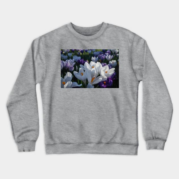 The flowers that bloom in the Spring tra la! (2) Crewneck Sweatshirt by Violaman